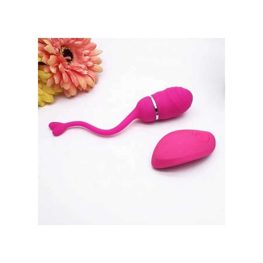 Huevo Vibrador Control Remoto Odise USB Silicona Rosa