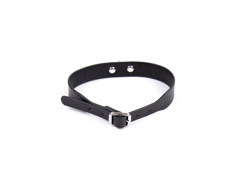 Collar Ajustable 43 cm Negro