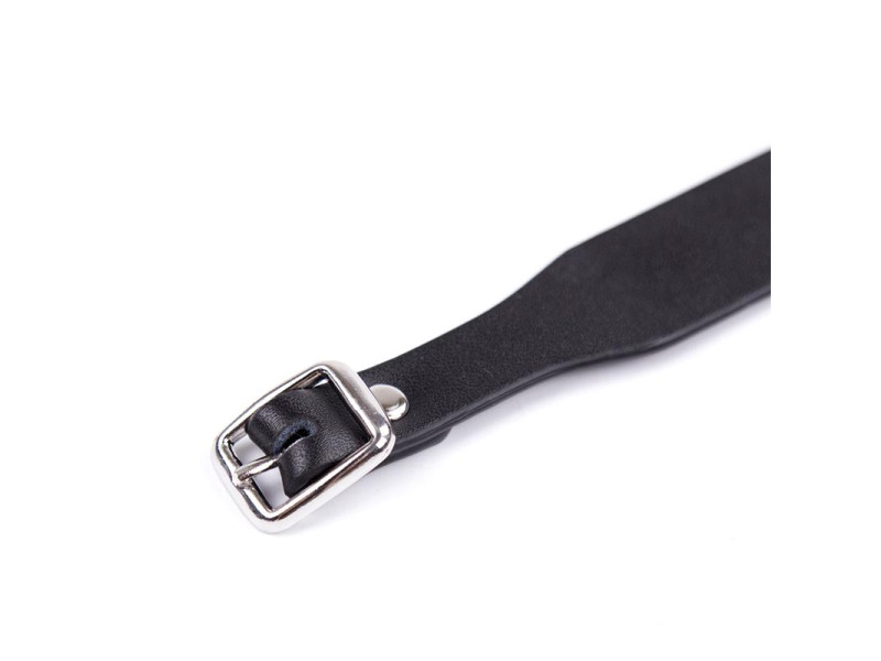 Collar Ajustable 43 cm Negro