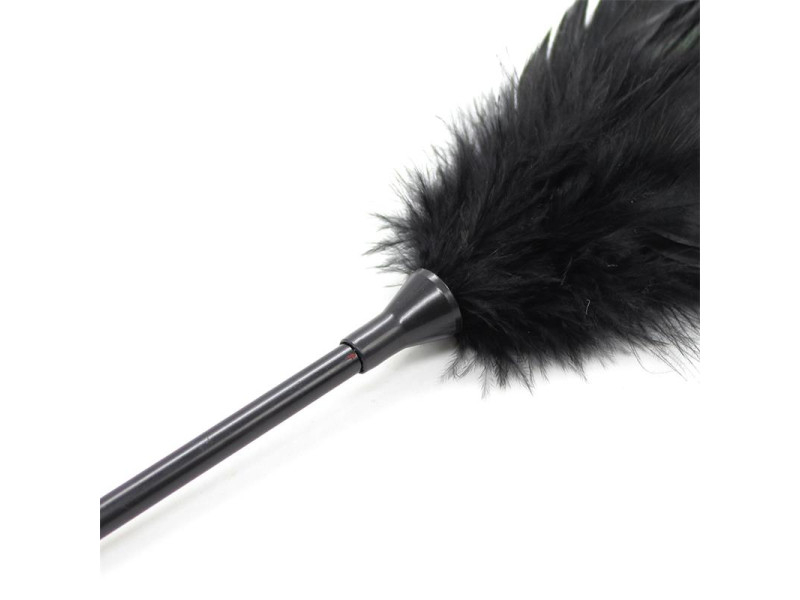 Plumero y Pala 2 en 1 48 cm Negro