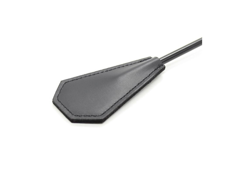 Plumero y Pala 2 en 1 48 cm Negro