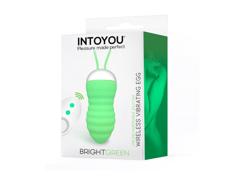 Brightgreen Huevo Vibrador Control Remoto USB Silicona