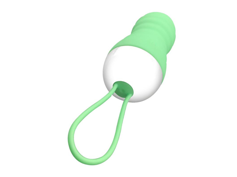 Brightgreen Huevo Vibrador Control Remoto USB Silicona