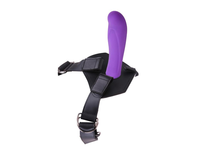 Arnes y Dildo Amor