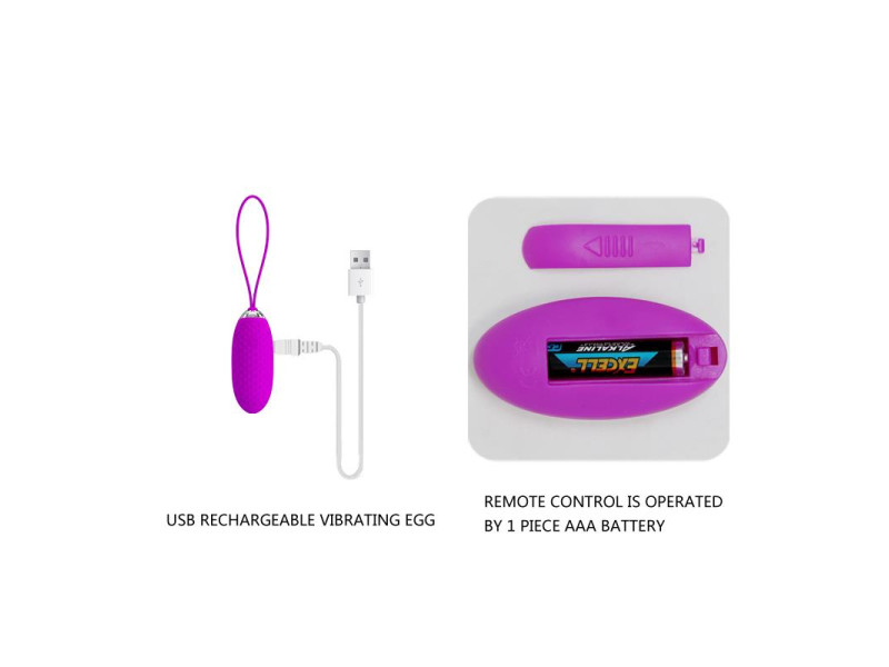Huevo Vibrador Joanna USB Purpura