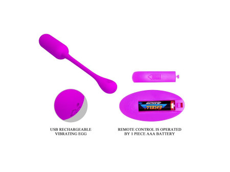 Lechies Huevo Vibrador con Control Remoto USB Lechies Huevo Vibrador con Control Remoto USB
