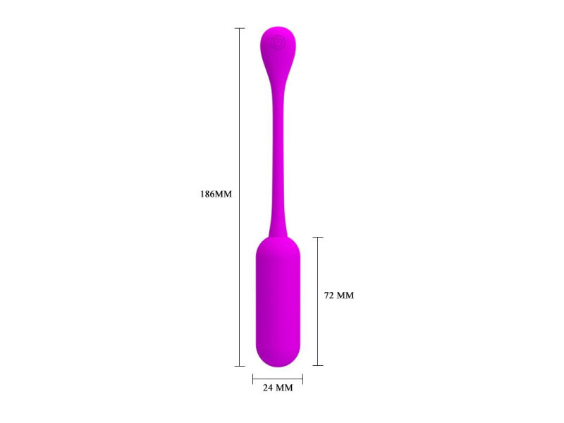 Lechies Huevo Vibrador con Control Remoto USB