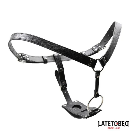 LATETOBED BDSM LINE