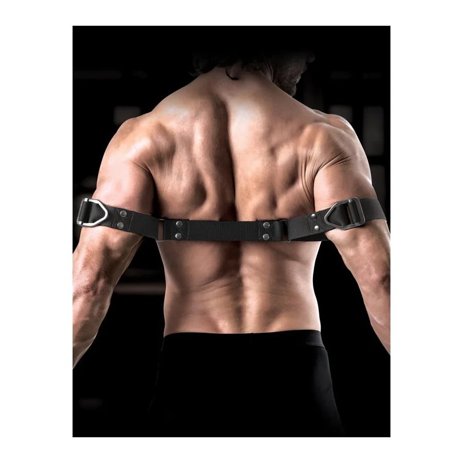 Correas para Biceps