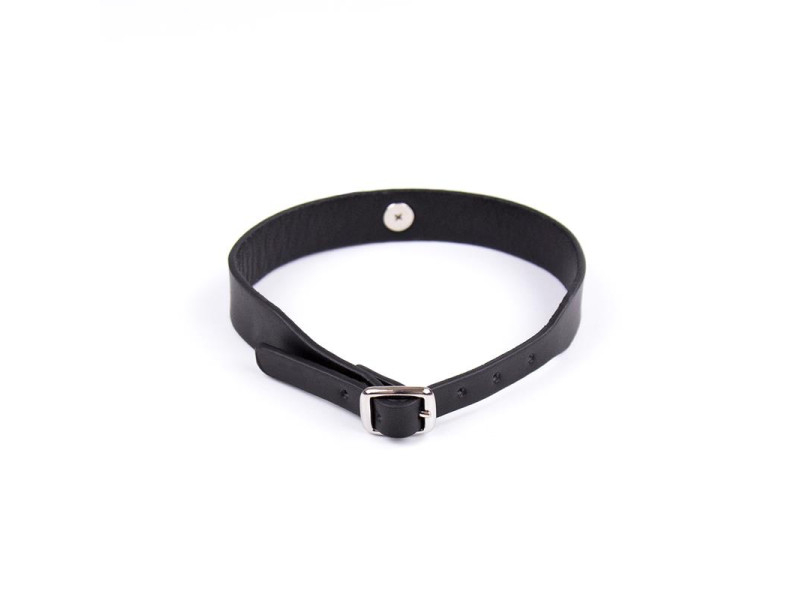 Collar con Cascabel Ajustable 43 cm Negro