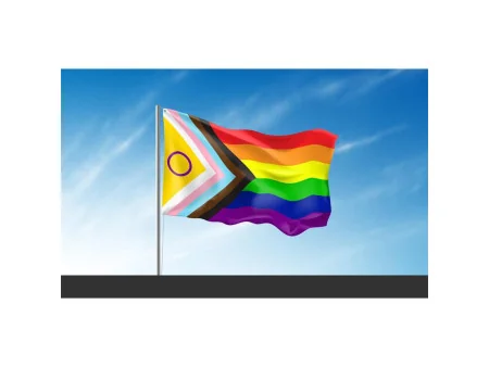 Bandera Intersexsual 90x150cm
