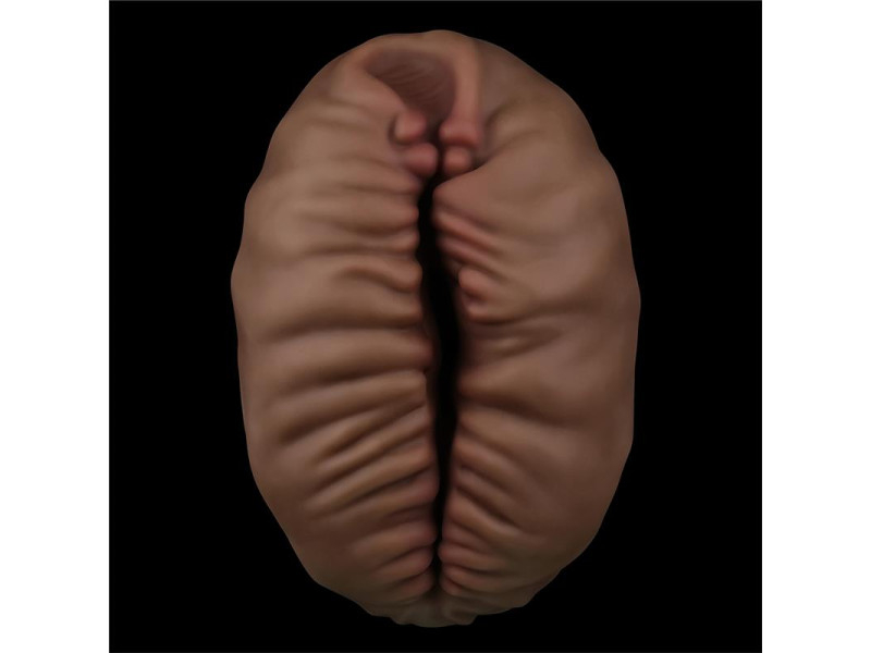 Masturbador Aliens Pie 2