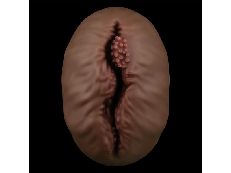 Masturbador Aliens Pie 1