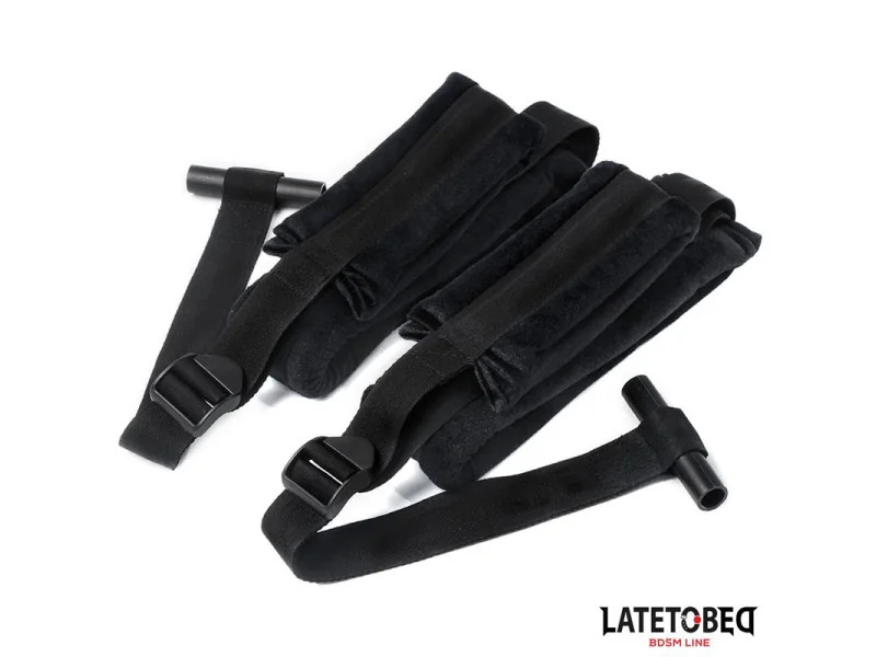 Restricciones para la Puerta