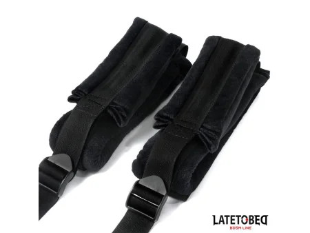 Restricciones para la Puerta Restricciones para la Puerta