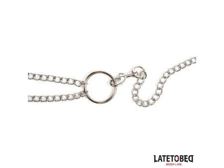 Pinzas para Pezones con Anillo para el Pene