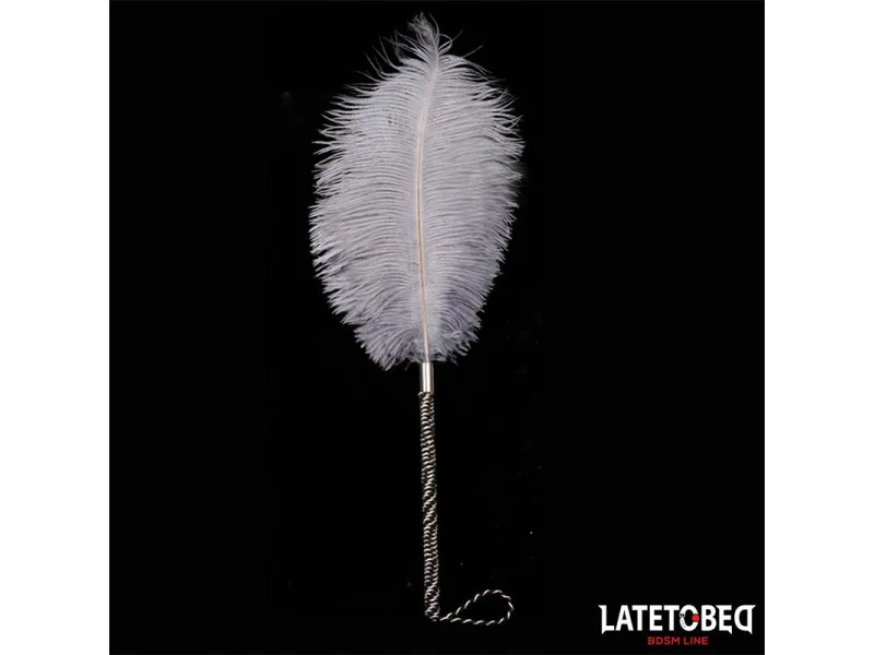 Pluma Estimuladora 44 cm
