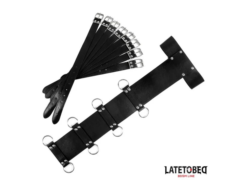 Arnes para la Espalda Ajustable