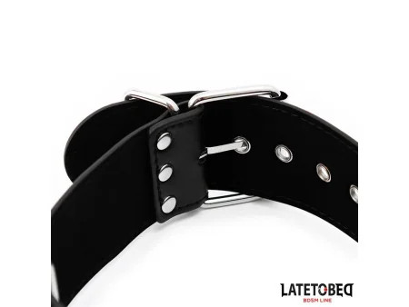Collar y Esposas Ajustables