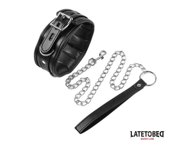 Collar con Correa Acolchado