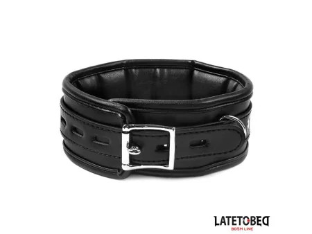 Collar con Correa Acolchado