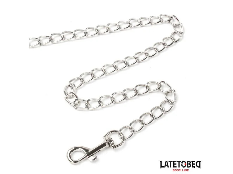 Collar con Correa Acolchado