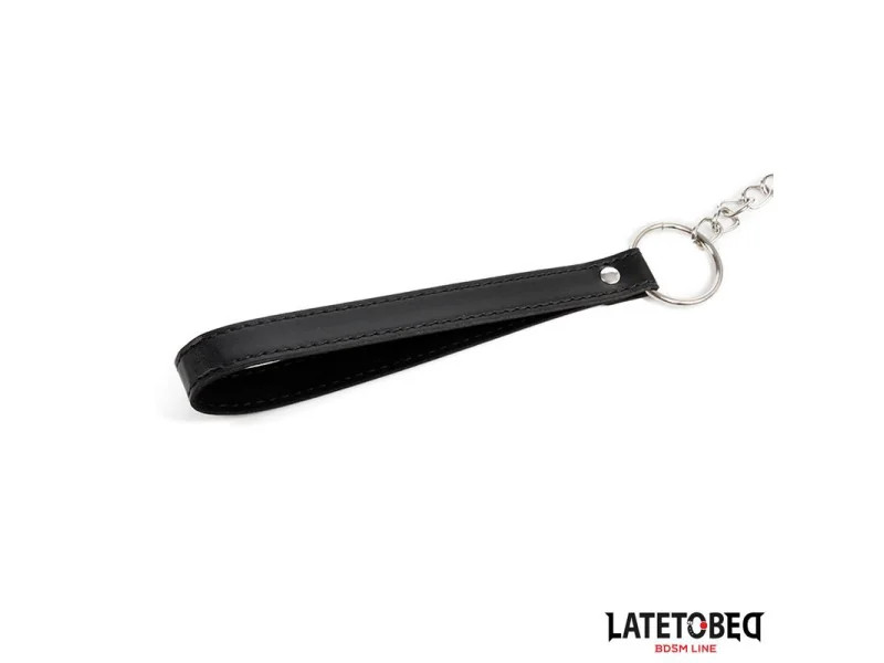 Collar con Correa Acolchado
