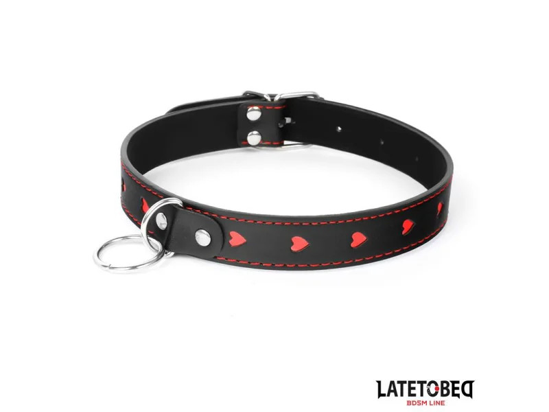 Collar con Correa 52 cm