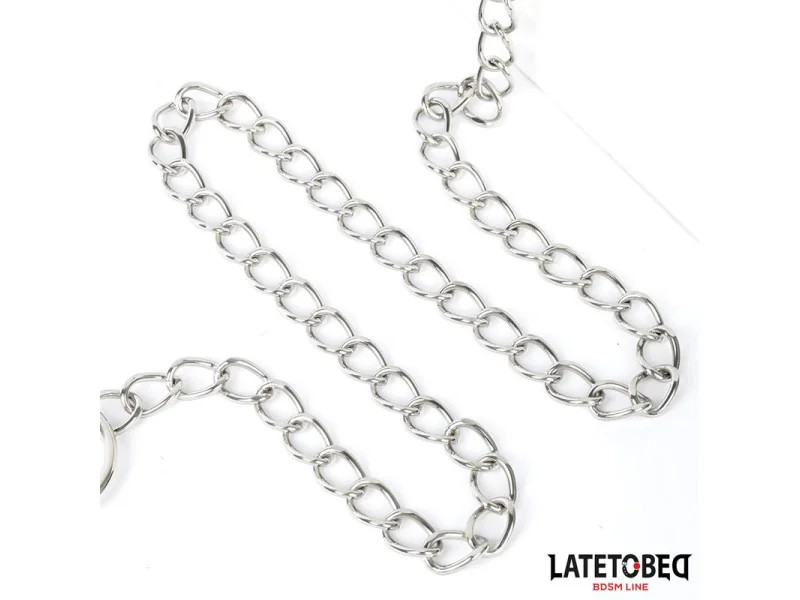 Collar con Correa 52 cm