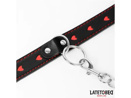 Collar con Correa 52 cm