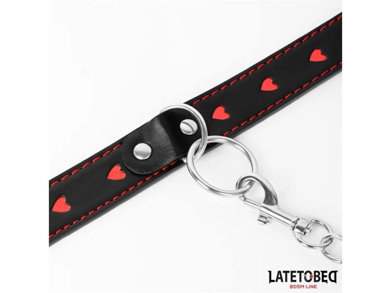 Collar con Correa 52 cm