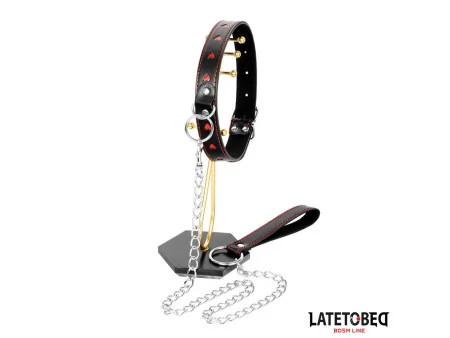 Collar con Correa 52 cm