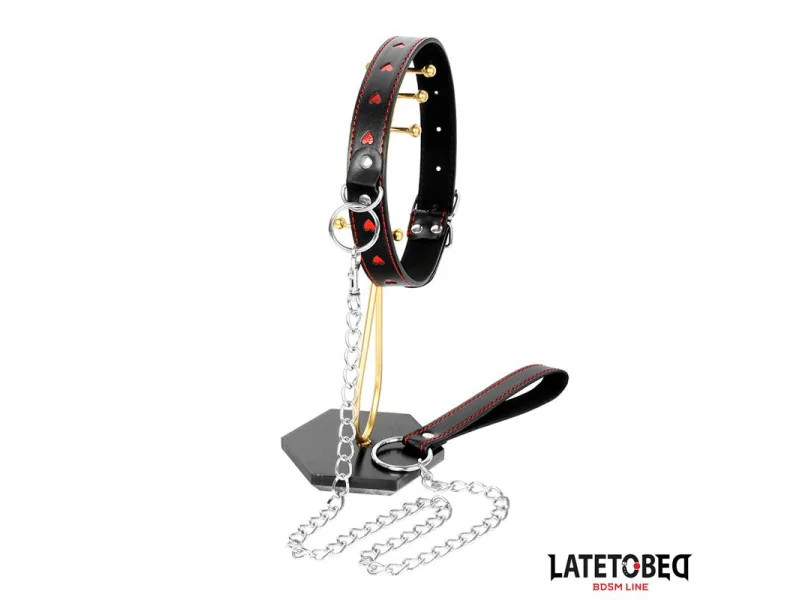 Collar con Correa 52 cm