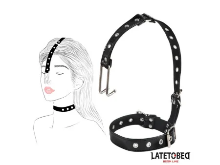 LATETOBED BDSM LINE
