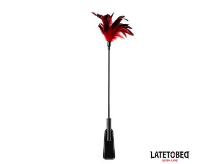 Pala con Plumas 2 en 1