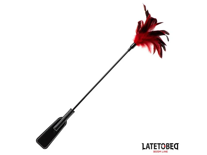 Pala con Plumas 2 en 1