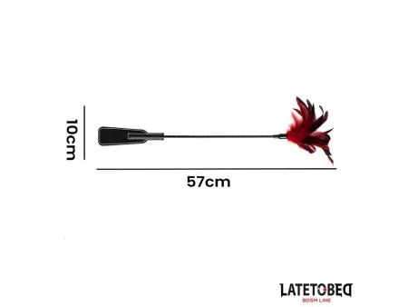 Pala con Plumas 2 en 1