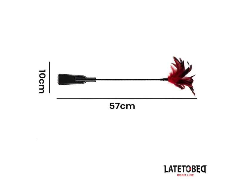 Pala con Plumas 2 en 1