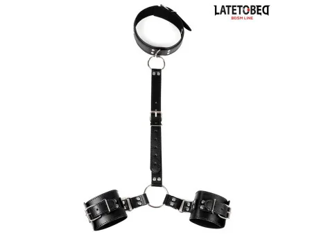 LATETOBED BDSM LINE