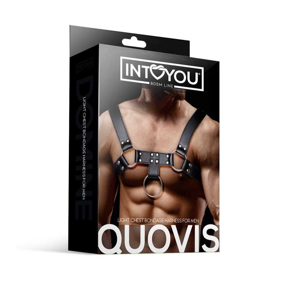 Quovis Arnes Masculino para Bondage Cuero Vegano