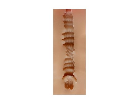 Masturbador Masculino Vagina Judith Skin