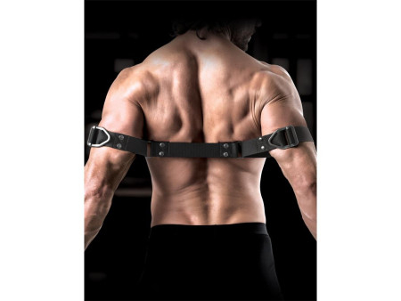 Correas para Biceps