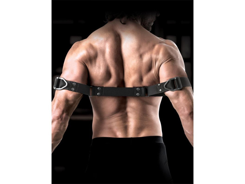 Correas para Biceps