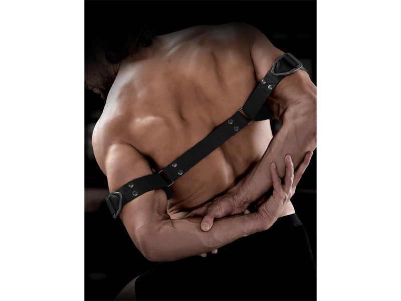 Correas para Biceps