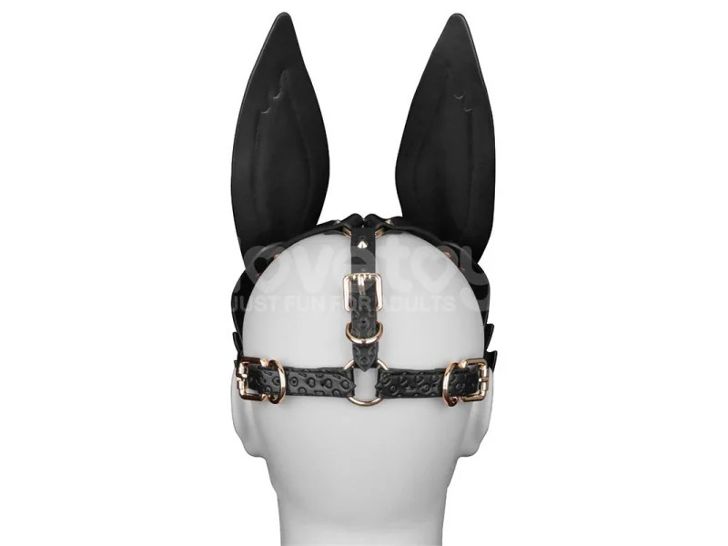 Mascara Conejo Rebellion Reign Mystery