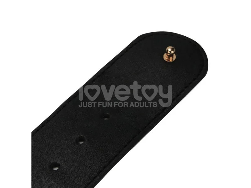 Arnes con Dildo con Vibracion 8