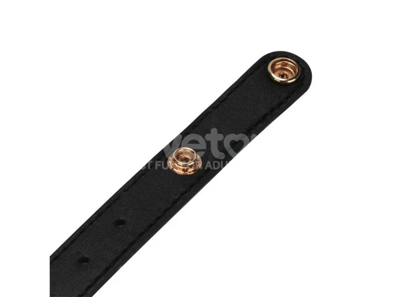 Arnes con Dildo con Vibracion 95