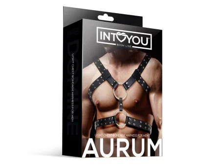 Aurum Arnes Masculino para Bondage Cuero Vegano