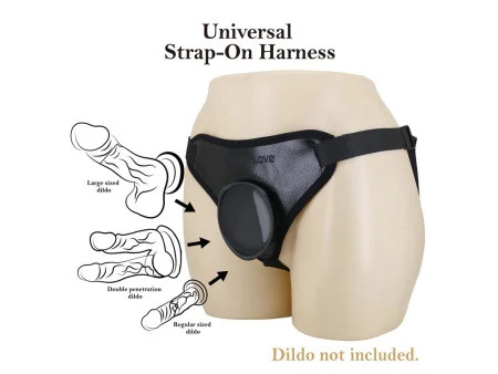 Caludio I Arnes Universal Caludio I Arnes Universal