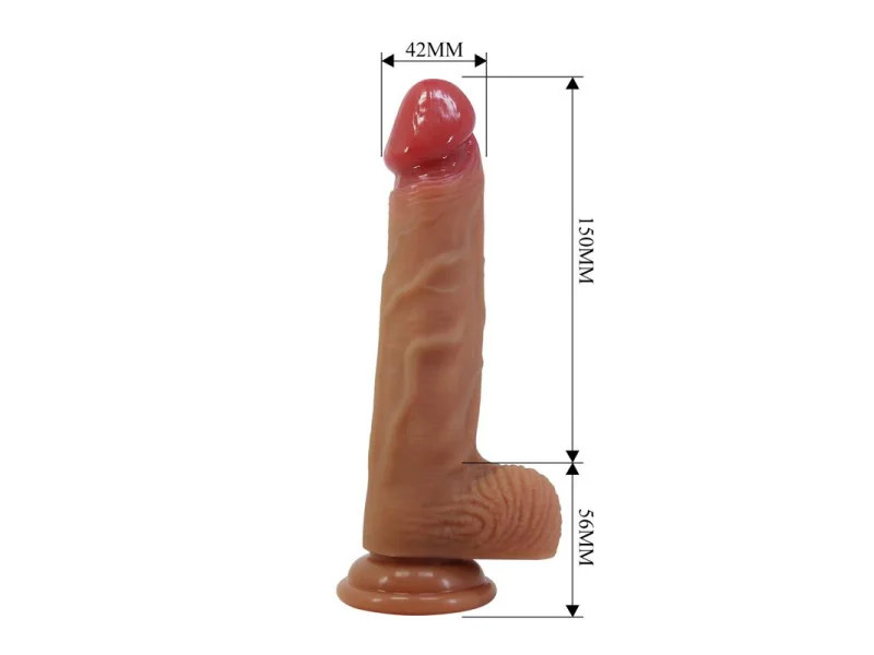 Wells Arnes Universal con Dildo